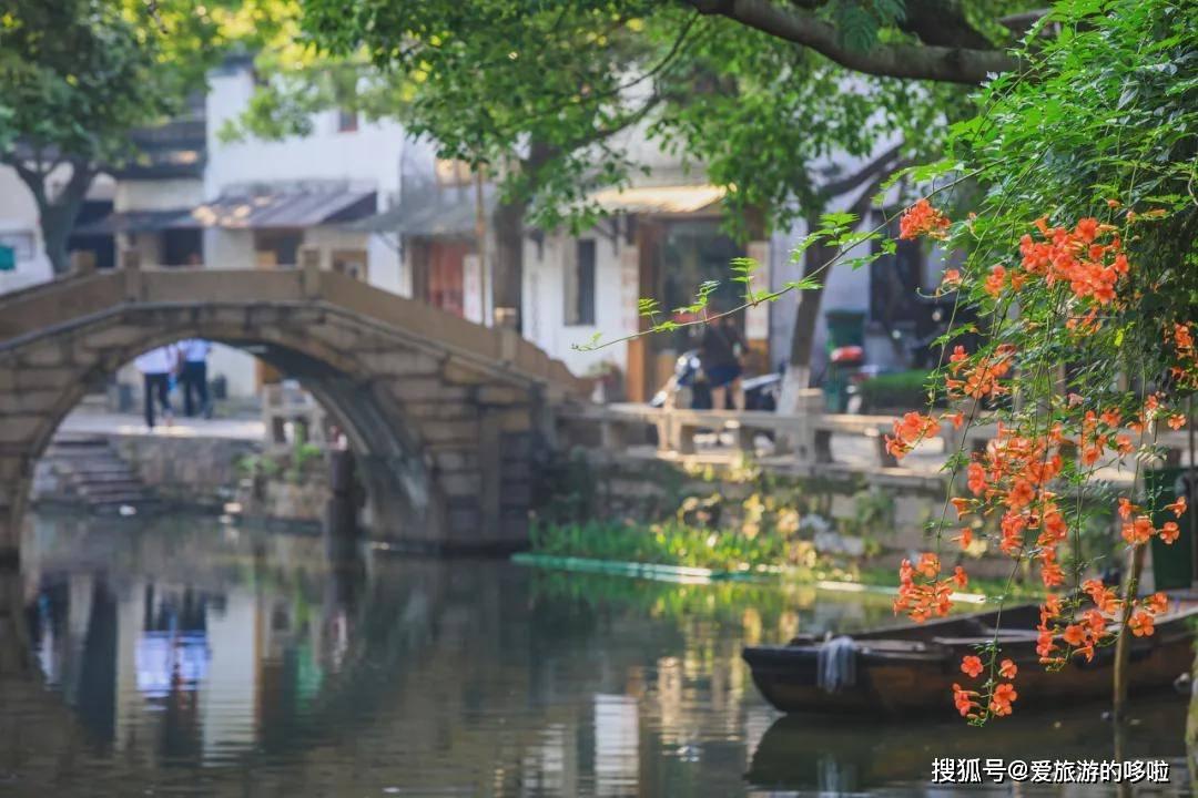 春雨直播app