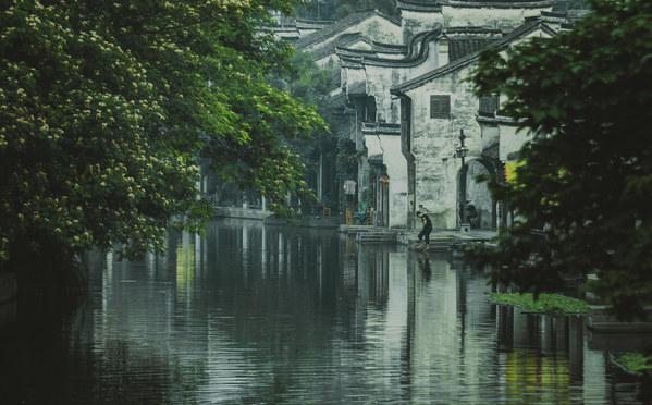 小鸡喝了有流感的人类排泄物？
